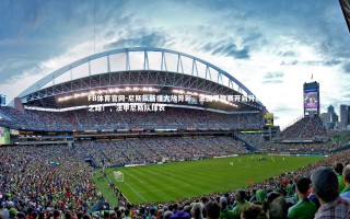 FB体育官网-尼斯队新援大放异彩，法国甲联赛开启升级之路！，法甲尼斯队球衣