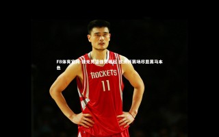 FB体育官网-捷克男篮强势崛起 欧洲杯赛场尽显黑马本色