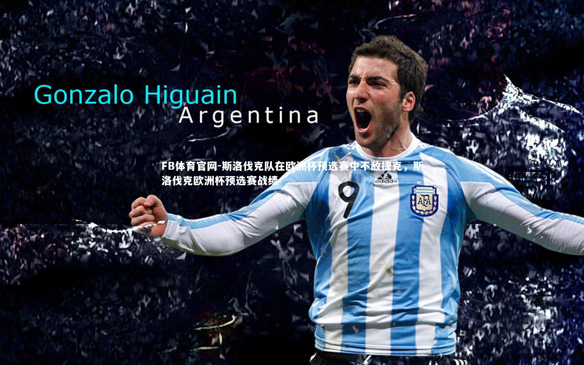 FB体育官网-斯洛伐克队在欧洲杯预选赛中不敌捷克，斯洛伐克欧洲杯预选赛战绩-第1张图片-FB体育官网