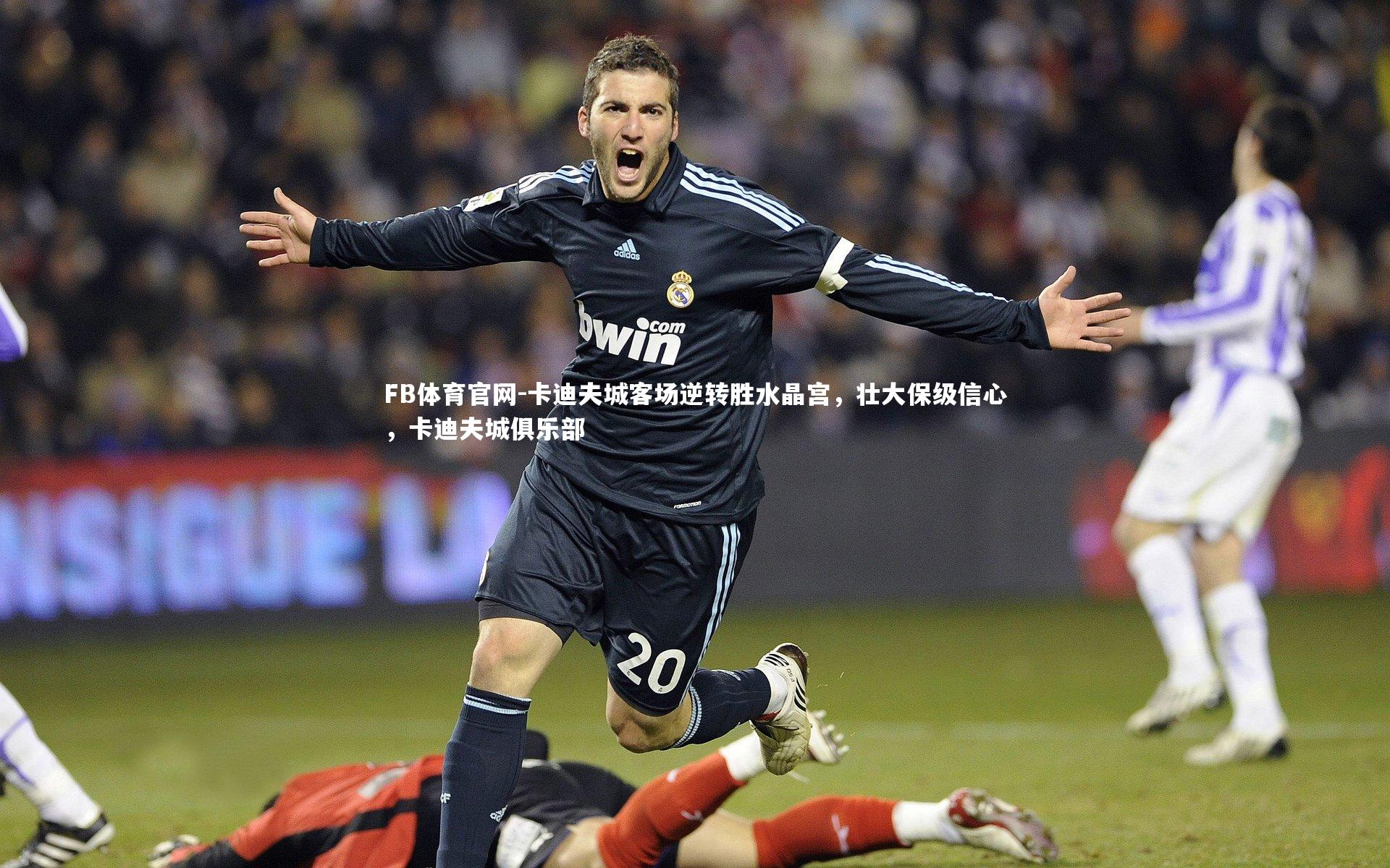 FB体育官网-卡迪夫城客场逆转胜水晶宫，壮大保级信心，卡迪夫城俱乐部-第1张图片-FB体育官网