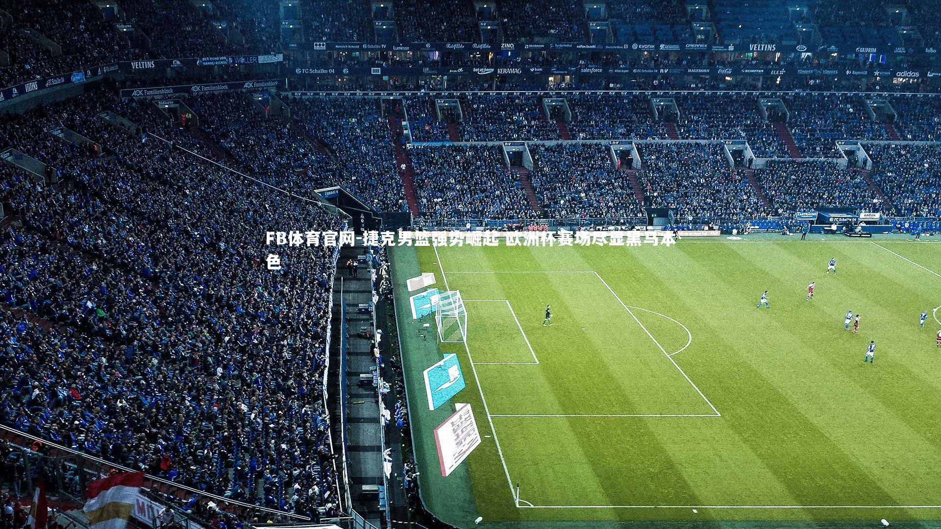 FB体育官网-捷克男篮强势崛起 欧洲杯赛场尽显黑马本色-第2张图片-FB体育官网